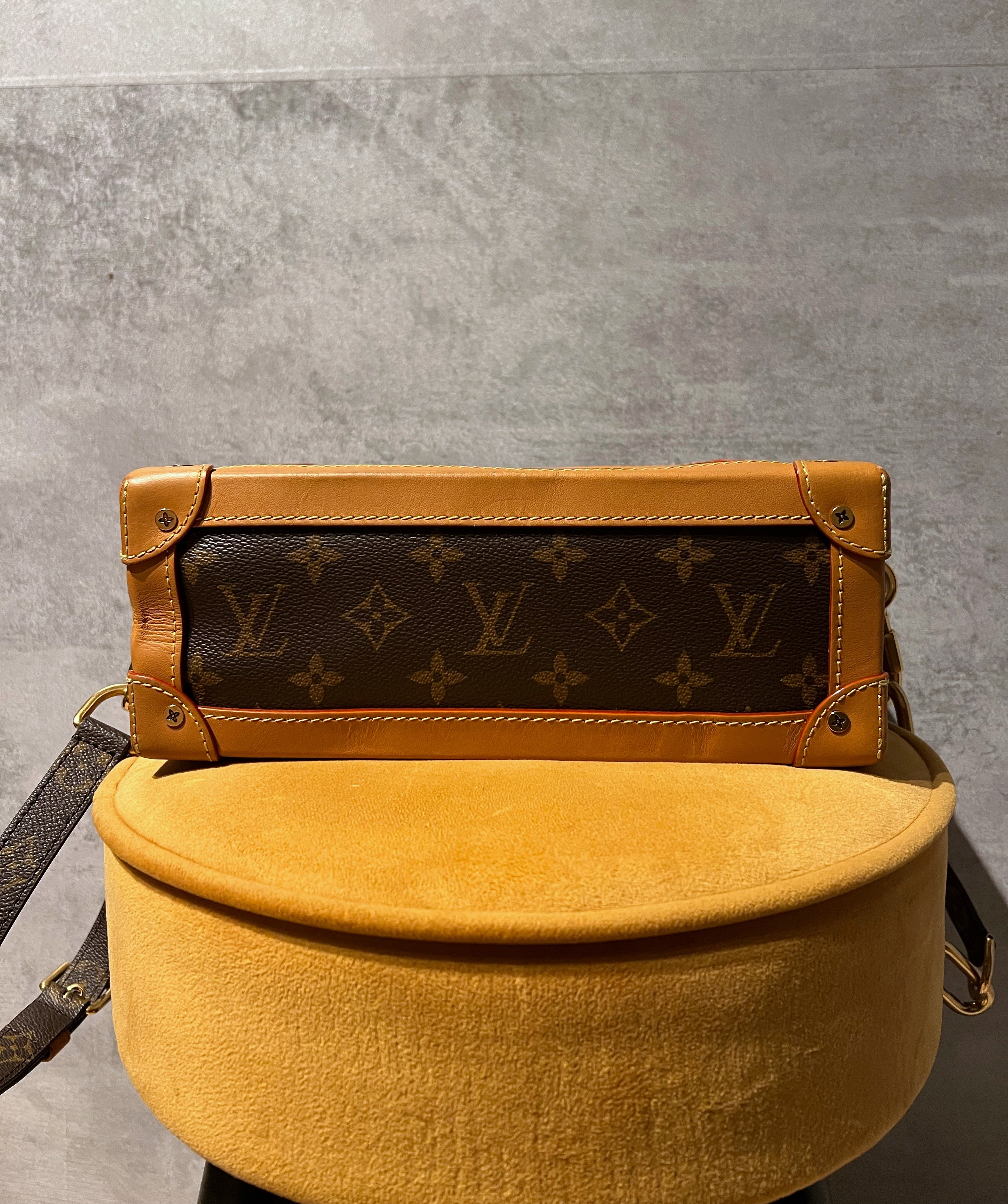 Repurposed Large Louis Vuitton Trunks & Bags Mint~Gold Reversible Brac –  DesignerJewelryCo